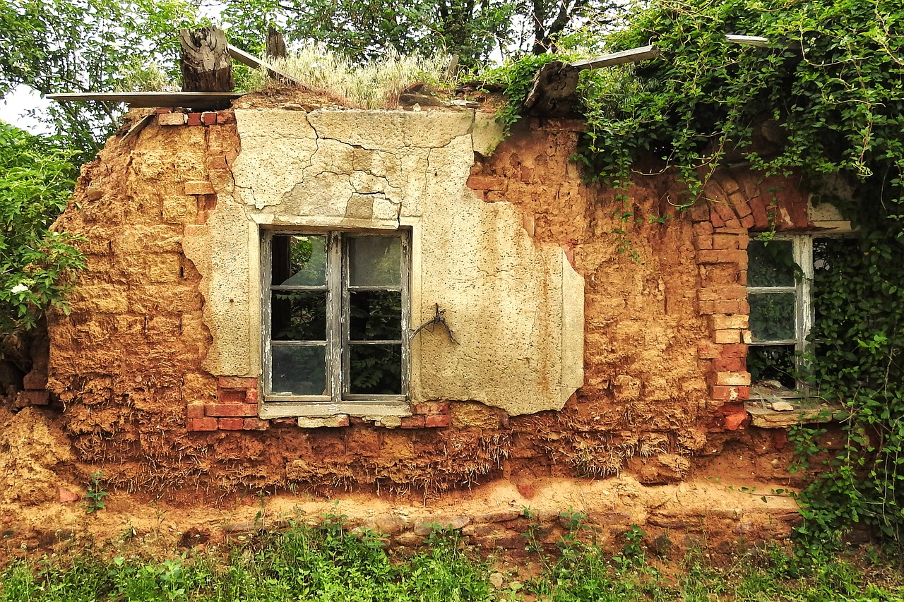 The Secrets of the Lost Cities of the Amazon